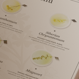 (Private Label) Flower Tea Stick Siberian Chrysanthemum Bulk Pouch (20PCS)